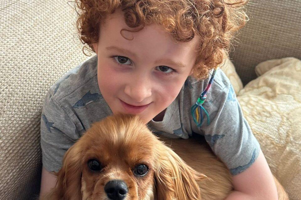 A young boy holding a small dog on his lap