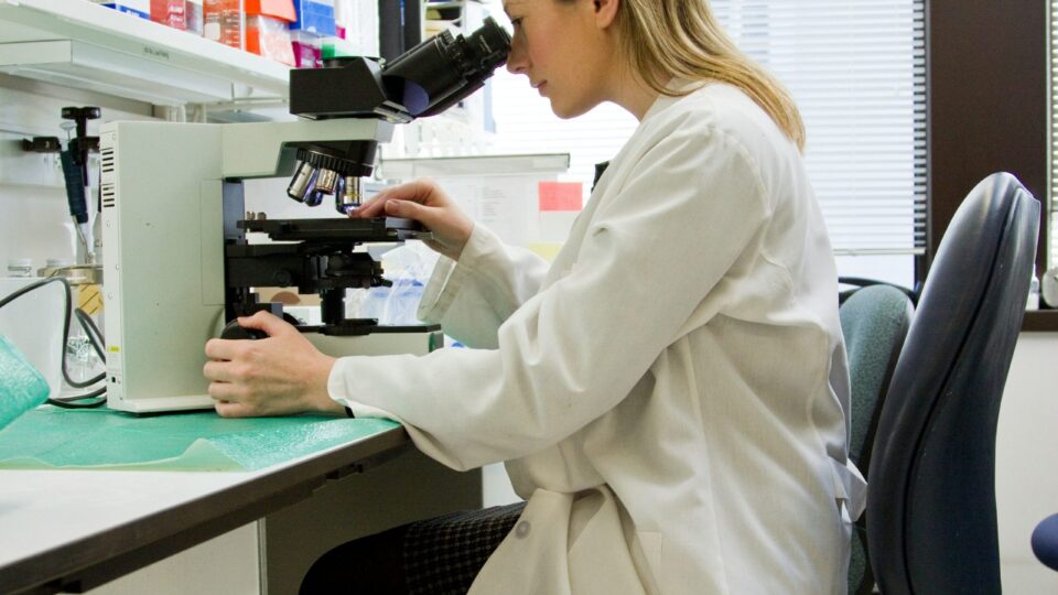 Female researcher sitting at desk looking into microscope